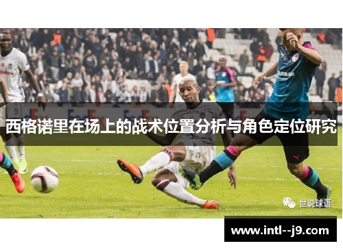 西格诺里在场上的战术位置分析与角色定位研究