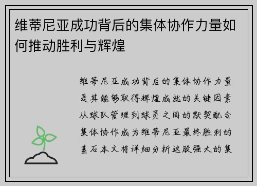 维蒂尼亚成功背后的集体协作力量如何推动胜利与辉煌