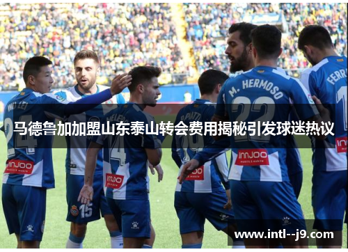 马德鲁加加盟山东泰山转会费用揭秘引发球迷热议