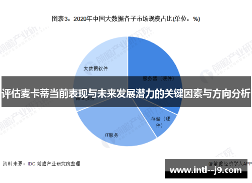 评估麦卡蒂当前表现与未来发展潜力的关键因素与方向分析
